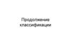 Продолжение классификации