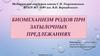 Биомеханизм родов при затылочных предлежаниях