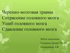 Черепно-мозговые травмы. Виды ЧМТ. Лечение