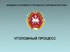 Уголовный процесс. Сущность, значение, задачи и основные понятия уголовного процесса