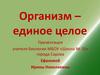 Организм – единое целое