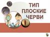 Тип Плоские Черви