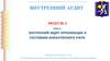 Внутренний аудит организации и состояния бухгалтерского учета. Тема 2