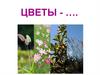 Цветы. Виды