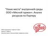 "Узкие места" внутренней среды ООО «Мясной гурман». Анализ ресурсов по Портеру