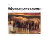 Африканские слоны