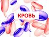Кровь. Состав крови