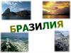 Страна Бразилия
