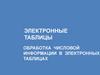 Электронные таблицы. Обработка числовой информации в электронных таблицах