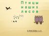 Птицы наших лесов