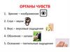 Органы чувств