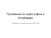 Практикум по орфографии и пунктуации. Правописание частиц НЕ/НИ