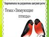 Зимующие птицы. Картотека по развитию связной речи