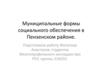 Муниципальные формы социального обеспечения в Пензенском районе