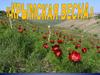 Крымская весна