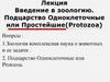 Введение в зоологию.  Подцарство Одноклеточные или Простейшие (Protozoa)