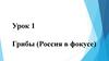 Грибы (Россия в фокусе). Урок 1