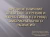 Вредное влияние алкоголя, курения и наркотиков в период эмбрионального развития