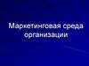 Маркетинговая среда организации