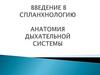 Спланхнология. Дыхательная система человека