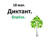 Берёза. Русский язык. Диктант