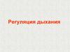 Регуляция дыхания. Дыхательное движение