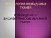 Физиология и этология возбудимых тканей. Возбуждение и биоэлектрические явления в тканях