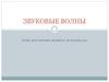 Звуковые волны. Урок изучения нового материала