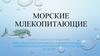 Морские млекопитающие