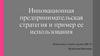 Инновационная предпринимательская стратегия и пример ее использования