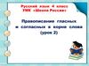 Правописание гласных и согласных в корне слова