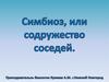Симбиоз