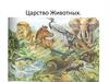 Царство Животных