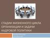 Стадии жизненного цикла организации и задачи кадровой политики