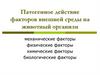 Патогенное действие факторов внешней среды на животный организм