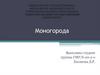Моногорода. Понятие моногорода