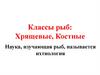 Классы рыб: Хрящевые, Костные. Наука, изучающая рыб, называется ихтиология
