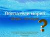 Обитатели морей. Игра верю - не верю