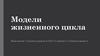 Модели жизненного цикла информационных систем