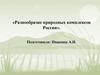 Разнообразие природных комплексов России