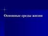 Основные среды жизни