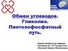Обмен углеводов. Гликолиз. Пентозофосфатный путь
