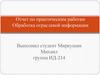 Обработка отраслевой информации. Отчет по практическим работам