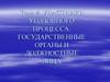 Частники уголовного процесса: государственные органы и должностные лица