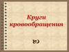 Круги кровообращения
