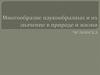 Многообразие паукообразных и их значение в природе и жизни