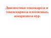 Диагностика токсокароза и токсаскариоза плотоядных, аскаридиоза кур