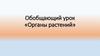 Органы растений