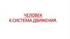 Система движения. Человек