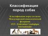 Классификация пород собак